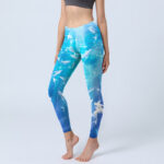 Buddha Stones Fish In The Ocean Print Gym Leggings Women's Yoga Pants - DeepSkyBlue - US18，UK/AU22，EU50 (4XL) - image 1