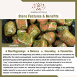 Buddha Stones Natural Various Stones Dolphin Spiritual Balance Bracelet - image 27