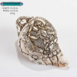 Buddha Stones Tibetan Handmade Engraved Shankha Buddha Avalokitesvara Conch Shell Wealth Decoration Decorations BS Manjushri 16.5*10.5cm