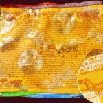 Buddha Stones Tibetan 5 Colors Windhorse Blessing Dragon Pattern Outdoor 20 Pcs Prayer Flag Decoration Decorations buddhastoneshop 9