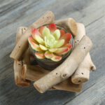 Buddha Stones Wood Candlestick Home Candle Holder Decoration Candle Holder BS 5