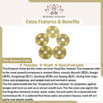 Buddha Stones Feng Shui Bagua Map Five-Emperor Coins Chinese Knotting Harmony Energy Map Bagua Map BS 10