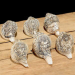 Buddha Stones Tibetan Handmade Engraved Shankha Buddha Avalokitesvara Conch Shell Wealth Decoration Decorations BS 3