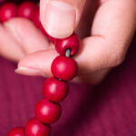 Buddha Stones Abelia Biflora Wood Warding Off Evil Spirits Wrist Mala Wrist Mala BS 2