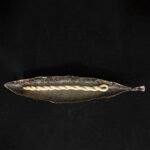 Buddha Stones Nepal Rope Incense Purify Healing Meditation Incense Incense BS Leaf Copper Incense Rope Holder