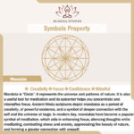 Buddha Stones Tibetan Mandala Mindful Soft Non-Slip Foam Yoga Block Yoga Block buddhastoneshop 15