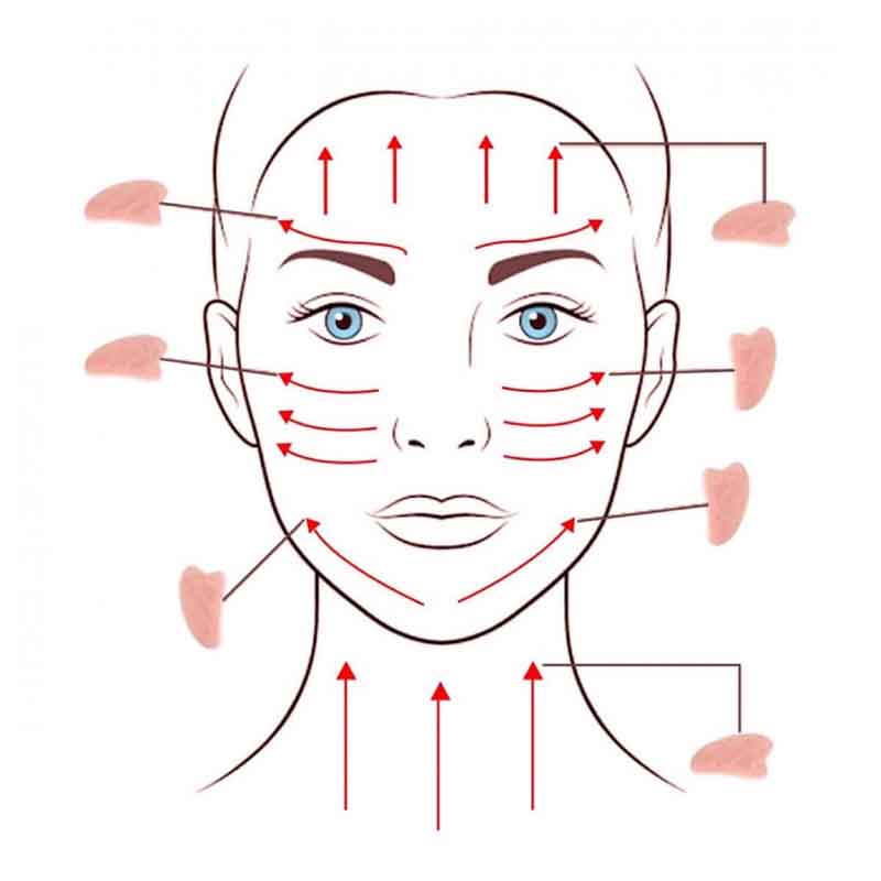 Resin Gua Sha Facial Whole Body Massage Comb Tool Set Gua Sha Tool BS 1