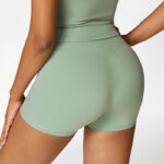 Buddha Stones Solid Color Crop Tank Top High Waist Shorts Sports Fitness Gym Yoga Outfits 2-Piece Outfit BS 58