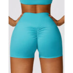 Buddha Stones Gym Sports Yoga Backless Bra Crop Tank Top Breathable Shorts 2-Piece Outfit BS 4