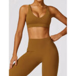 Buddha Stones Gym Sports Yoga Backless Bra Crop Tank Top Breathable Shorts 2-Piece Outfit BS 49