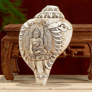 Buddha Stones Tibetan Handmade Engraved Shankha Buddha Avalokitesvara Conch Shell Wealth Decoration Decorations BS main