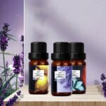 Buddha Stones 6Pcs Lavender Orange Jasmine Lemongrass Soothing Aromatherapy Healing Essential Oils Set Essential Oil BS 4