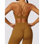 Buddha Stones Gym Sports Yoga Backless Bra Crop Tank Top Breathable Shorts 2-Piece Outfit BS 50