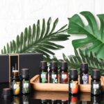 Buddha Stones 6Pcs Lavender Orange Jasmine Lemongrass Soothing Aromatherapy Healing Essential Oils Set Essential Oil BS 1