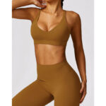 Buddha Stones Gym Sports Yoga Backless Bra Crop Tank Top Breathable Shorts 2-Piece Outfit BS 48
