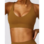 Buddha Stones Gym Sports Yoga Backless Bra Crop Tank Top Breathable Shorts 2-Piece Outfit BS 47