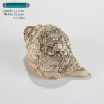 Buddha Stones Tibetan Handmade Engraved Shankha Buddha Avalokitesvara Conch Shell Wealth Decoration Decorations BS Manjusri Bodhisattva 17*10.5cm