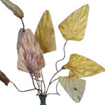 Buddha Stones Natural Dried Triangle Lotus Leaf Stemmed Plant Bouquet Home Decoration Ornaments Decorations BS 8