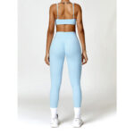 Buddha Stones Gym Sports Yoga Backless Bra Crop Tank Top Shorts 2-Piece Outfit BS 19