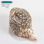 Buddha Stones Tibetan Handmade Engraved Shankha Buddha Avalokitesvara Conch Shell Wealth Decoration Decorations BS Five God of Wealth 15.5*10cm