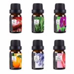 Buddha Stones 6Pcs Lavender Orange Jasmine Lemongrass Soothing Aromatherapy Healing Essential Oils Set Essential Oil BS 5