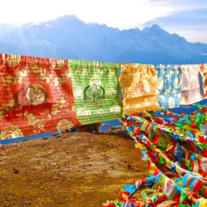 Buddha Stones Tibetan 5 Colors Windhorse Blessing Longevity Sutra Outdoor 20 Pcs Prayer Flag Decoration Decorations buddhastoneshop 7m