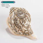 Buddha Stones Tibetan Handmade Engraved Shankha Buddha Avalokitesvara Conch Shell Wealth Decoration Decorations BS Yamantaka Buddha 17.5*10.5cm