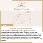 Buddha Stones Mini Small Frog Turtle Koi Fish Snail Crab Copper Wealth Home Decoration Decorations BS 15