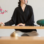 Buddha Stones V-Neck Blouse Women Shirt Long Sleeve Top Chinese Hanfu Style Clothing Long Sleeve Shirt BS 18