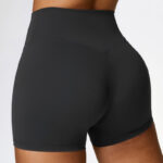 Buddha Stones Solid Color Crop Tank Top High Waist Shorts Sports Fitness Gym Yoga Outfits 2-Piece Outfit BS 22