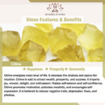Buddha Stones Various Crystal Amethyst Pink Crystal White Crystal Citrine Buddha Carved Spiritual Healing Necklace Pendant Decoration (Extra 30% Off | USE CODE: FS30) Necklaces & Pendants BS 14