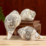 Buddha Stones Tibetan Handmade Engraved Shankha Buddha Avalokitesvara Conch Shell Wealth Decoration Decorations BS 1