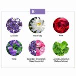 Buddha Stones 6Pcs Lavender Orange Jasmine Lemongrass Soothing Aromatherapy Healing Essential Oils Set Essential Oil BS 6