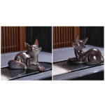 Buddha Stones Color Changing Small Cute Fox Tea Pet Resin Home Figurine Decoration Decorations BS 12