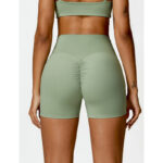 Buddha Stones Gym Sports Yoga Backless Bra Crop Tank Top Shorts 2-Piece Outfit BS 32