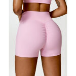 Buddha Stones Gym Sports Yoga Backless Bra Crop Tank Top Shorts 2-Piece Outfit BS 46