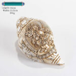 Buddha Stones Tibetan Handmade Engraved Shankha Buddha Avalokitesvara Conch Shell Wealth Decoration Decorations BS King of Treasure 18*10.5cm