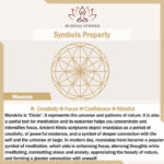 Bohemian Mandala Pattern Tapestry Wall Hanging Wall Art Focus Creativity Home Living Room Decor (Extra 30% Off | USE CODE: FS30) Tapestry BS 10