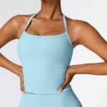 Buddha Stones Solid Color Crop Tank Top High Waist Shorts Sports Fitness Gym Yoga Outfits 2-Piece Outfit BS Blue Top US8/10/XL