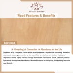 Buddha Stones Natural Gradient Bodhi Seed Fortune Money Bag Lotus Wisdom Tassel Wrist Mala Wrist Mala BS 22
