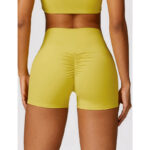 Buddha Stones Gym Sports Yoga Backless Bra Crop Tank Top Breathable Shorts 2-Piece Outfit BS 45