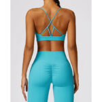 Buddha Stones Gym Sports Yoga Backless Bra Crop Tank Top Breathable Shorts 2-Piece Outfit BS 7