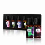 Buddha Stones 6Pcs Lavender Orange Jasmine Lemongrass Soothing Aromatherapy Healing Essential Oils Set Essential Oil BS 2
