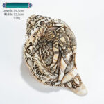 Buddha Stones Tibetan Handmade Engraved Shankha Buddha Avalokitesvara Conch Shell Wealth Decoration Decorations BS Vajrayogini Buddha 19.5*12.5cm