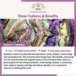 Buddha Stones "Sending Balance and Protection" Rainbow Obsidian Bracelet Includes Gift Message Card - image 16
